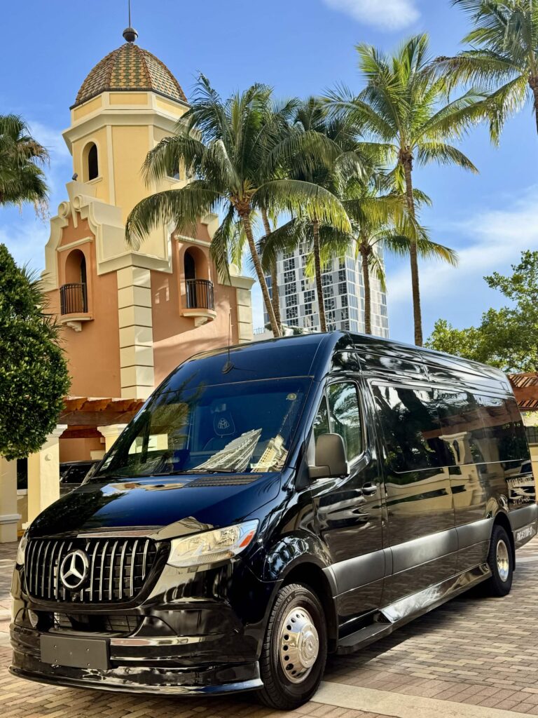 Black Mercedes-Maybach CEO Sprinter limo van parked under palm trees